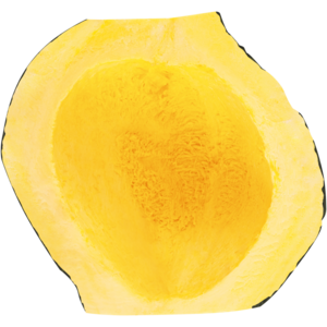 Deli Hubbard Squash Halve