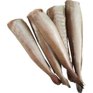 Frozen Baby Hake Fillets Per kg