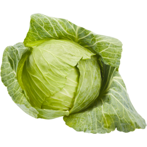 Medium Cabbage Head