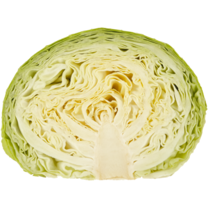 Medium Half Cabbage