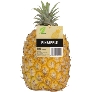 Medium Queen Pineapple